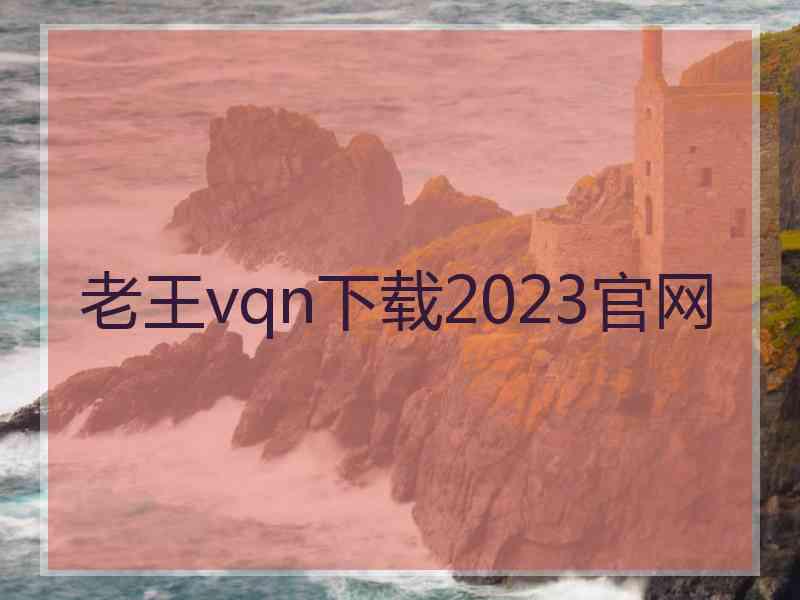 老王vqn下载2023官网