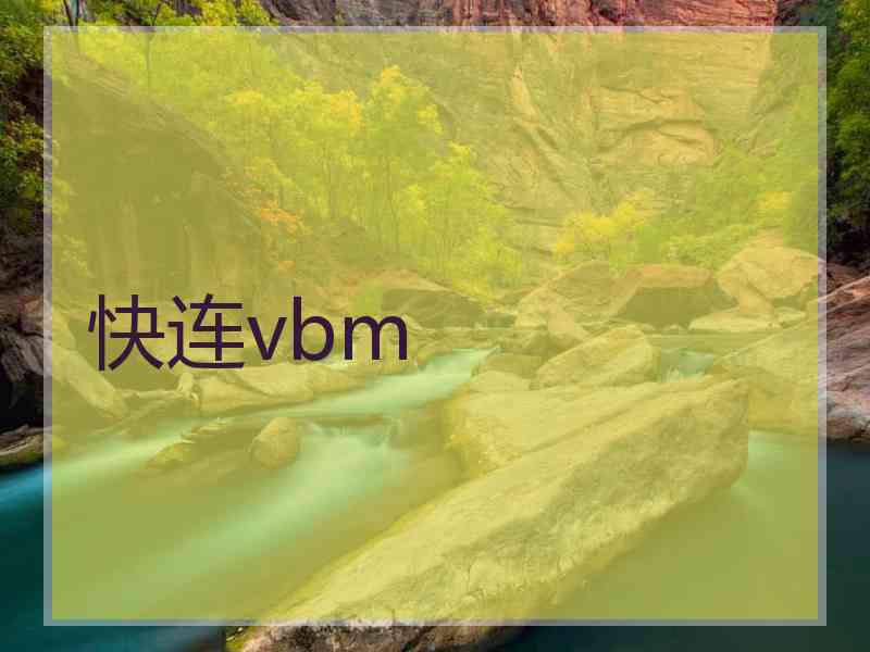 快连vbm