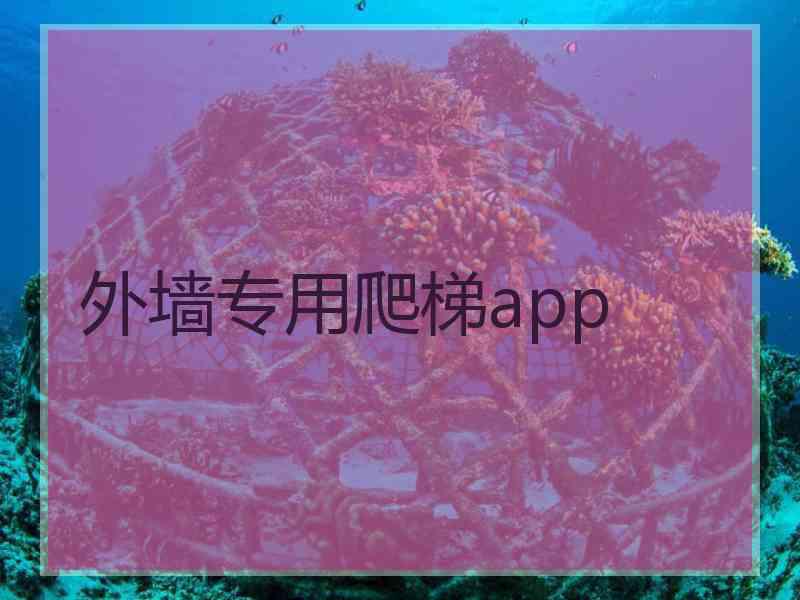 外墙专用爬梯app