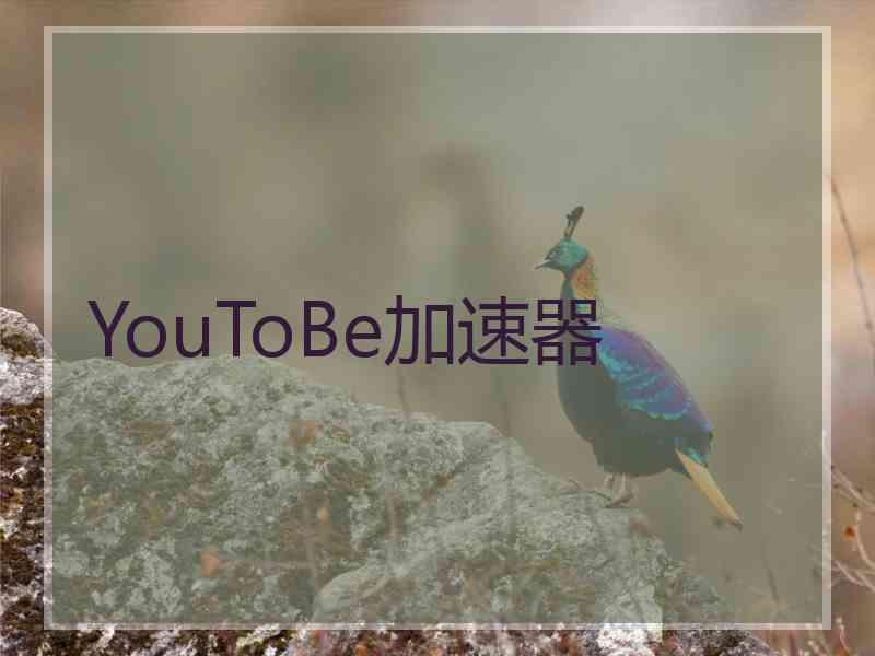 YouToBe加速器