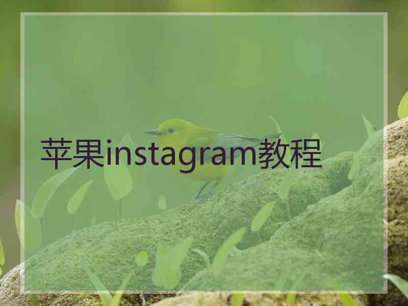 苹果instagram教程