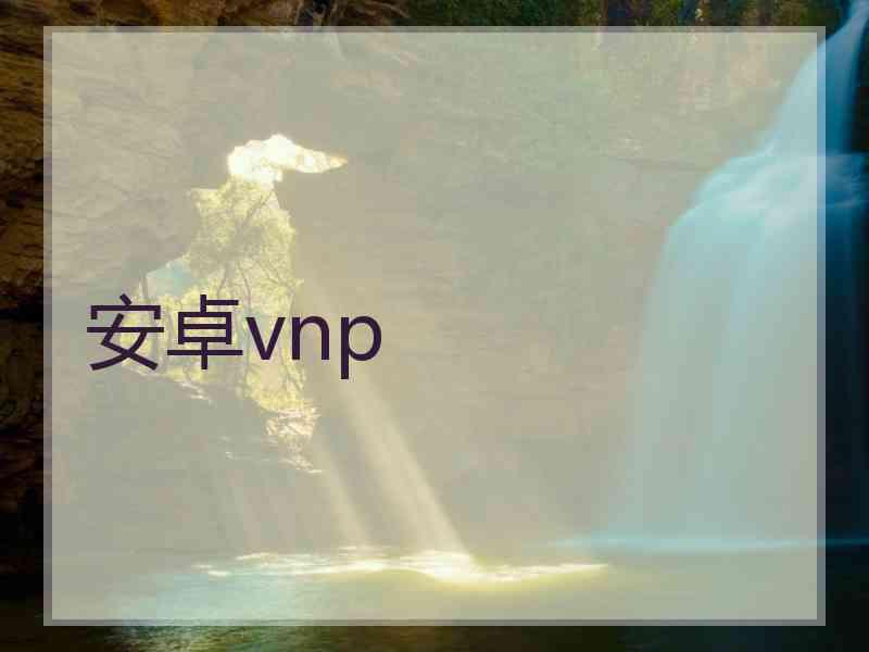 安卓vnp