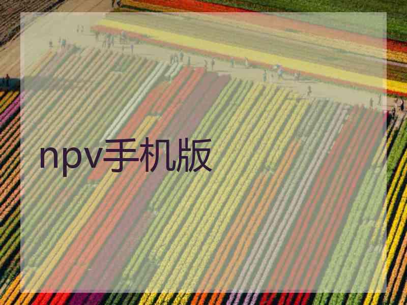 npv手机版