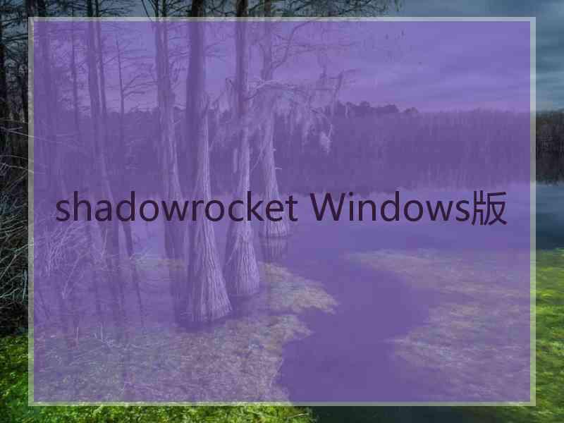 shadowrocket Windows版