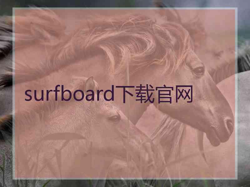 surfboard下载官网