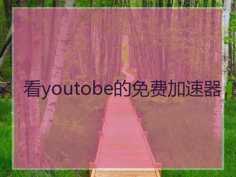 看youtobe的免费加速器