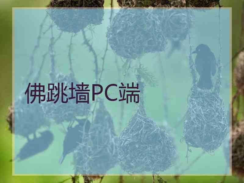 佛跳墙PC端