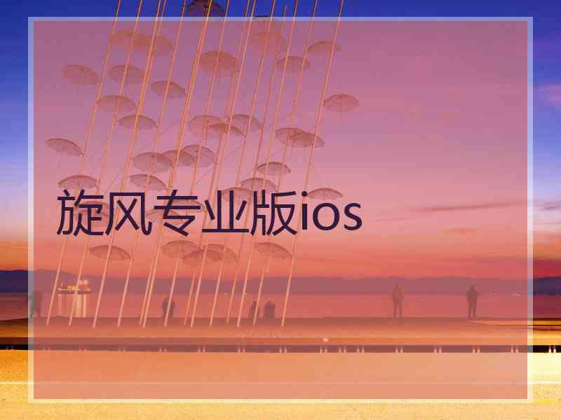 旋风专业版ios