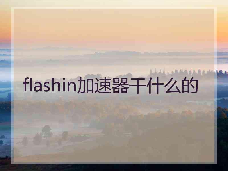 flashin加速器干什么的