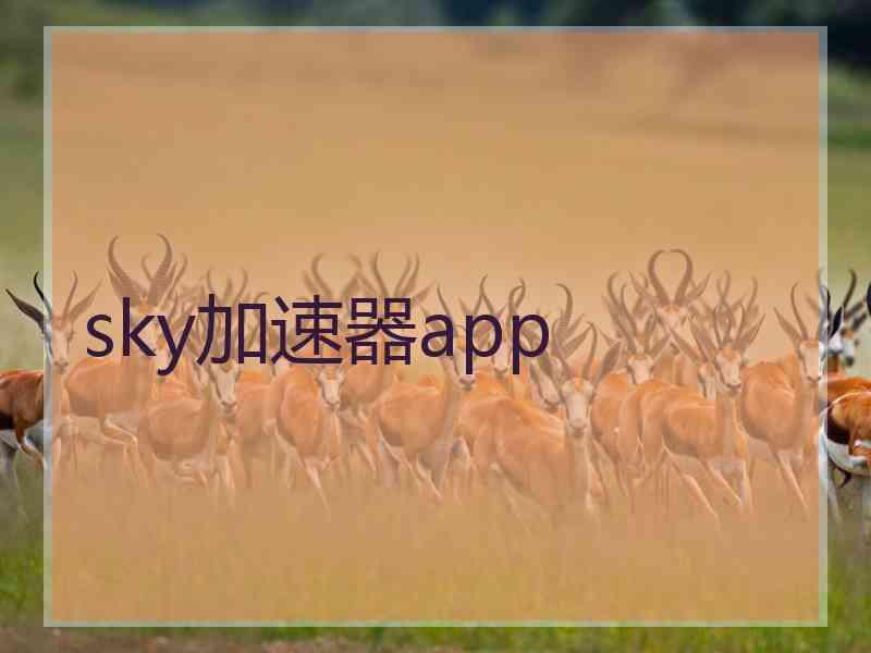 sky加速器app