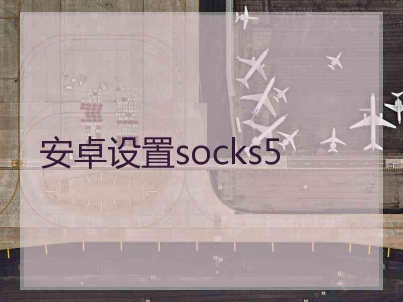 安卓设置socks5