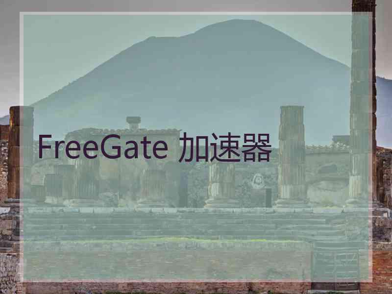 FreeGate 加速器