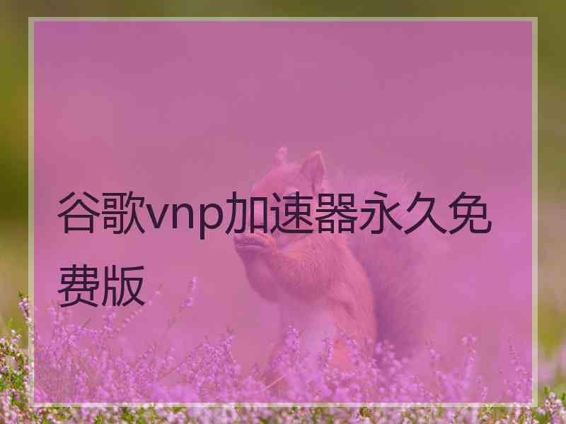 谷歌vnp加速器永久免费版