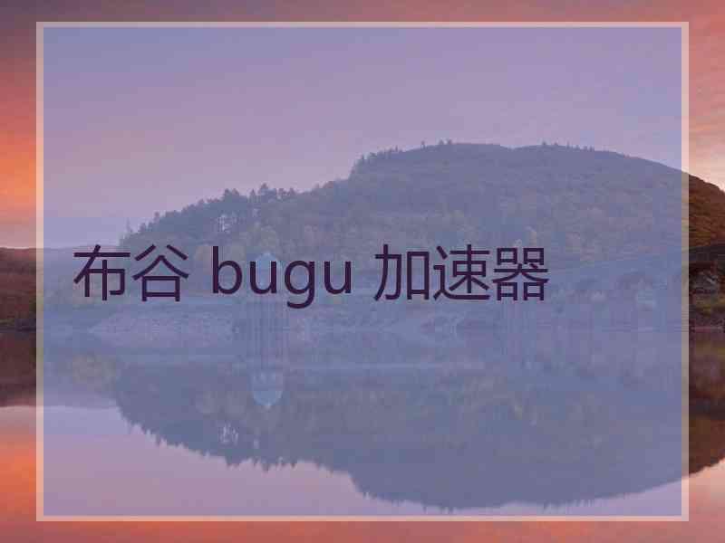 布谷 bugu 加速器