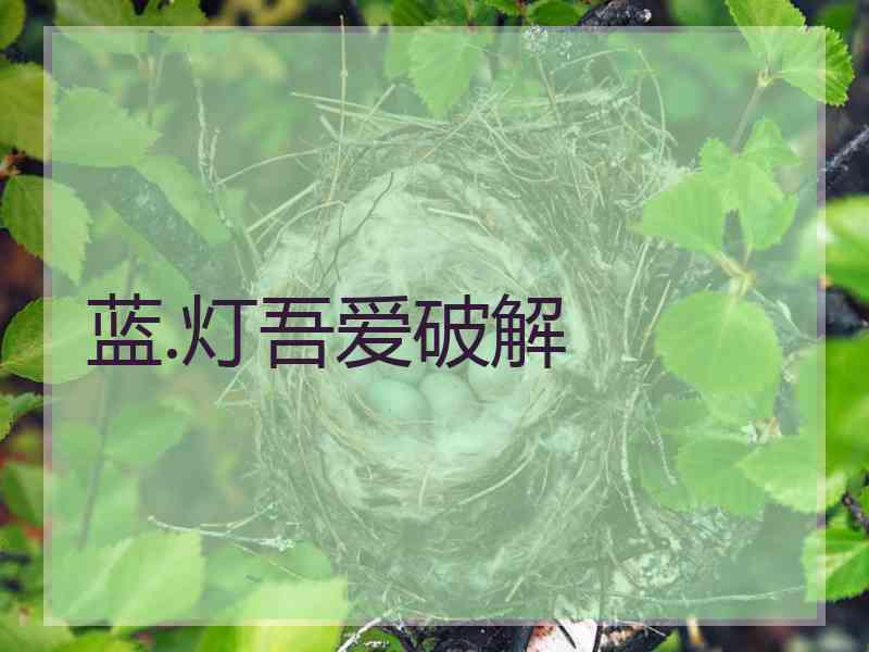 蓝.灯吾爱破解