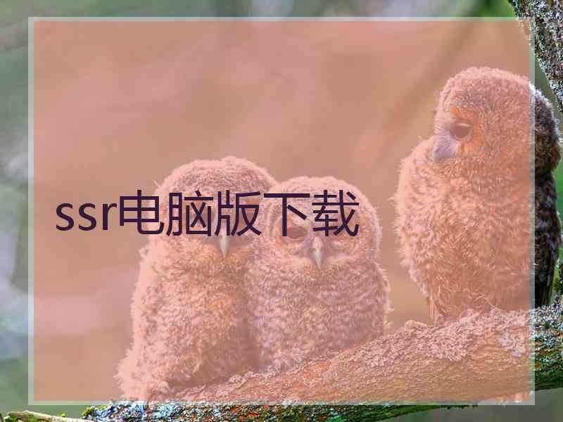 ssr电脑版下载