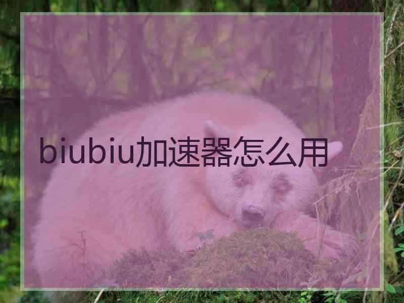 biubiu加速器怎么用