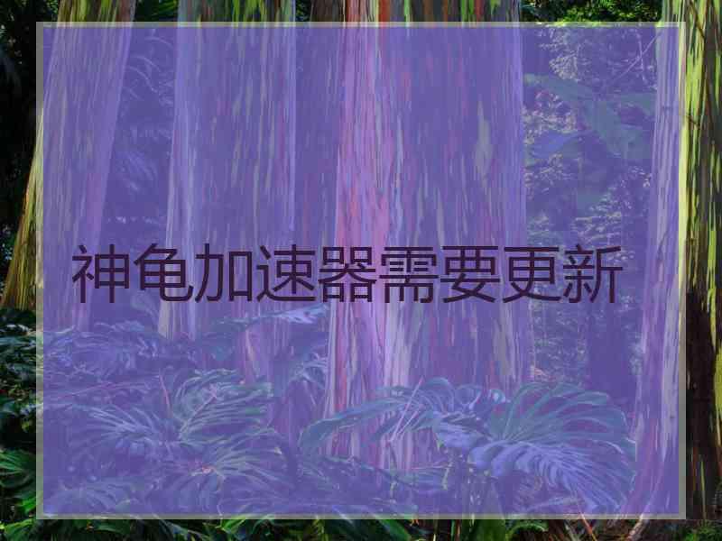 神龟加速器需要更新