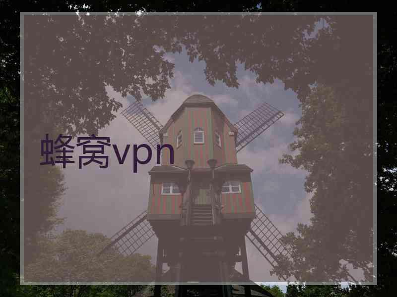 蜂窝vpn