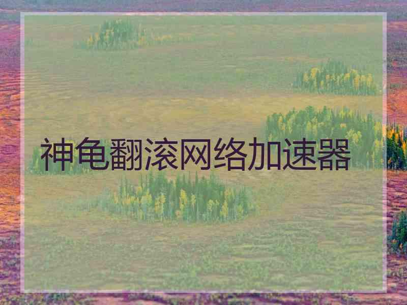 神龟翻滚网络加速器