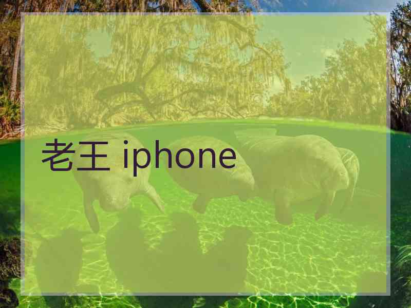 老王 iphone