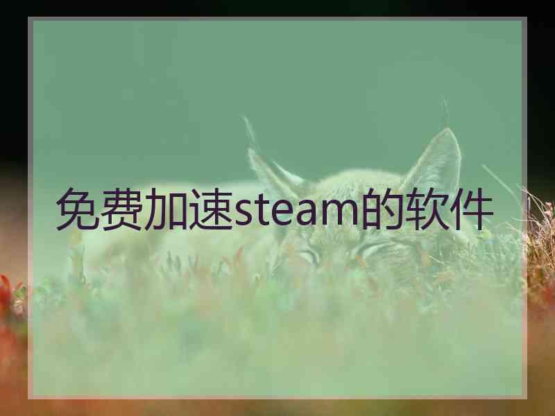 免费加速steam的软件