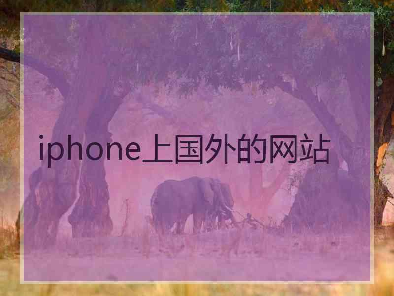 iphone上国外的网站