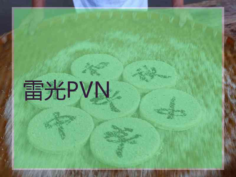 雷光PVN