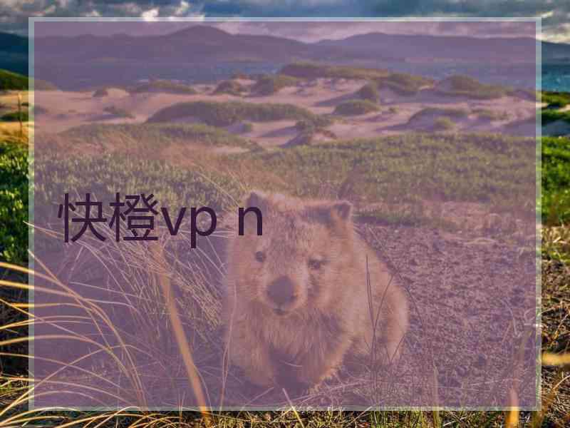 快橙vp n