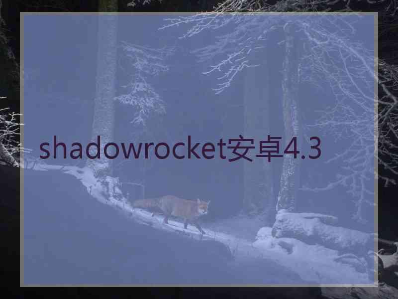 shadowrocket安卓4.3