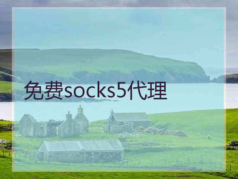 免费socks5代理