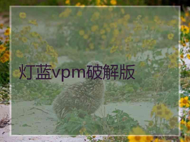 灯蓝vpm破解版