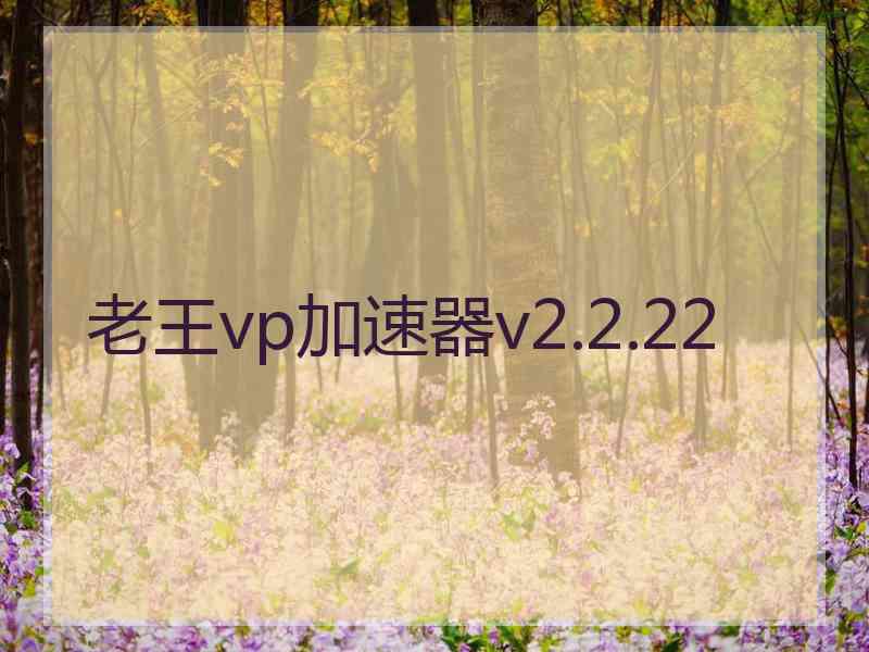 老王vp加速器v2.2.22