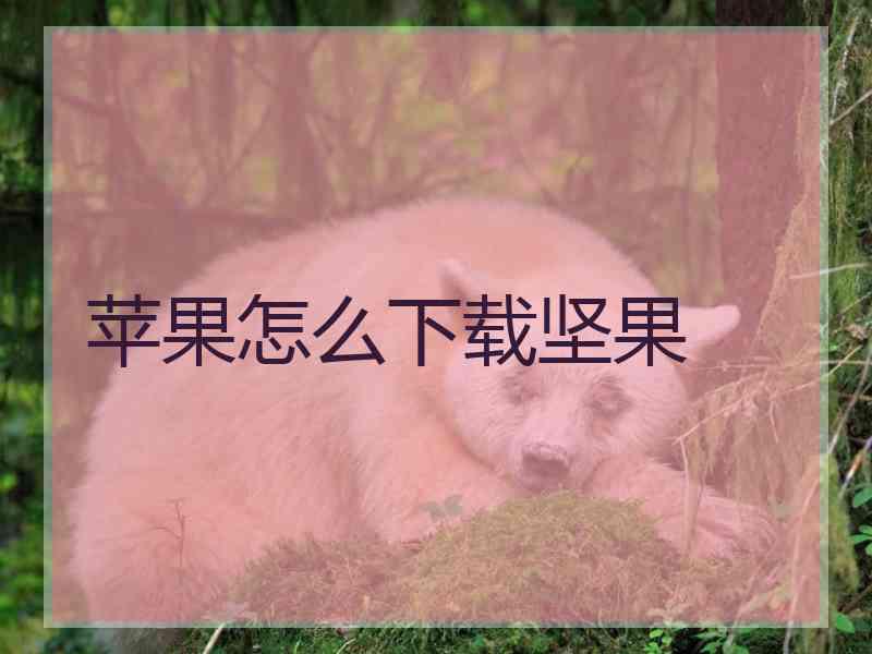 苹果怎么下载坚果