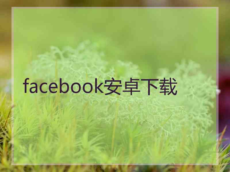 facebook安卓下载