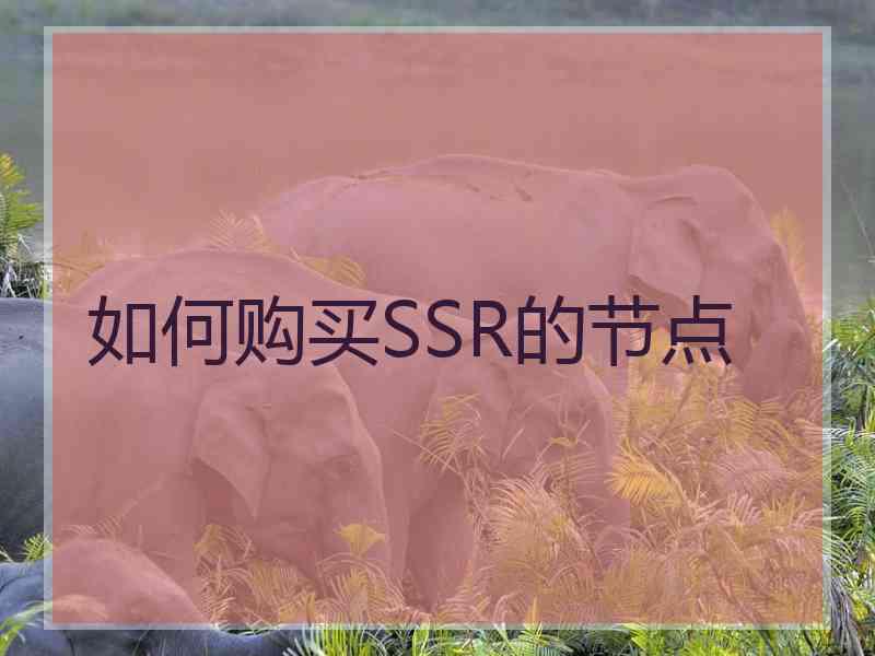 如何购买SSR的节点