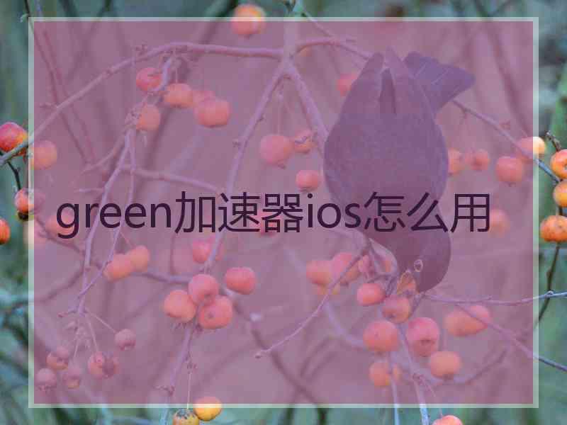 green加速器ios怎么用