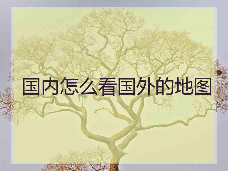 国内怎么看国外的地图