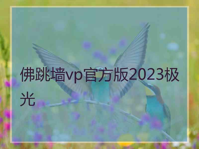 佛跳墙vp官方版2023极光