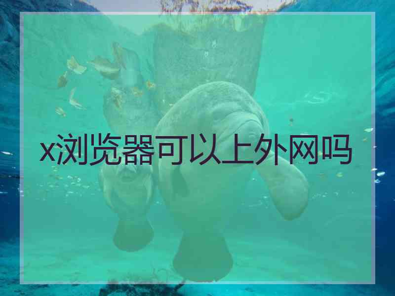 x浏览器可以上外网吗