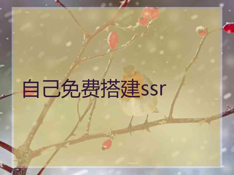 自己免费搭建ssr