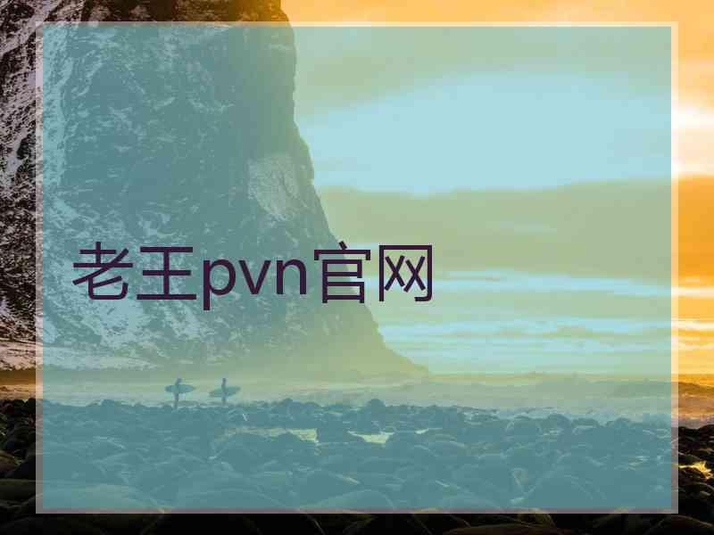 老王pvn官网