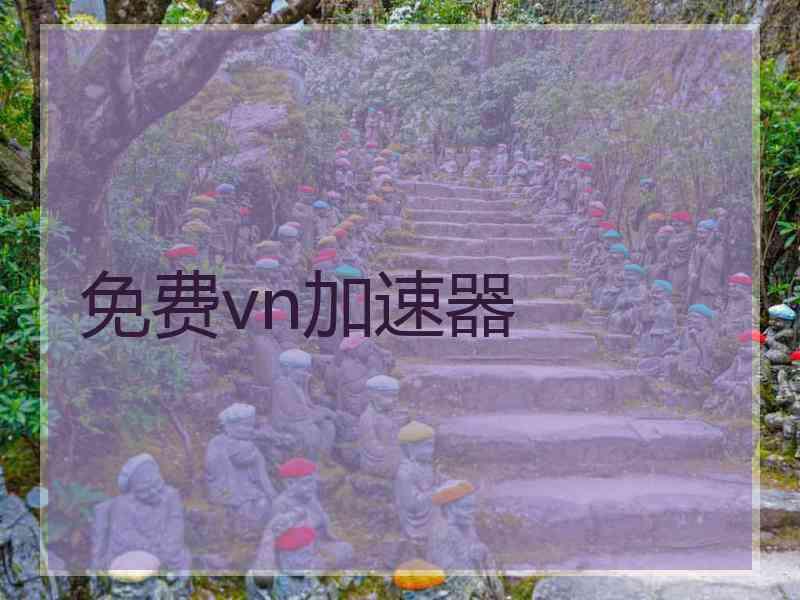 免费vn加速器