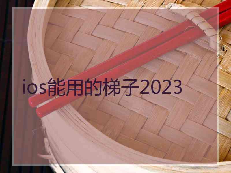 ios能用的梯子2023