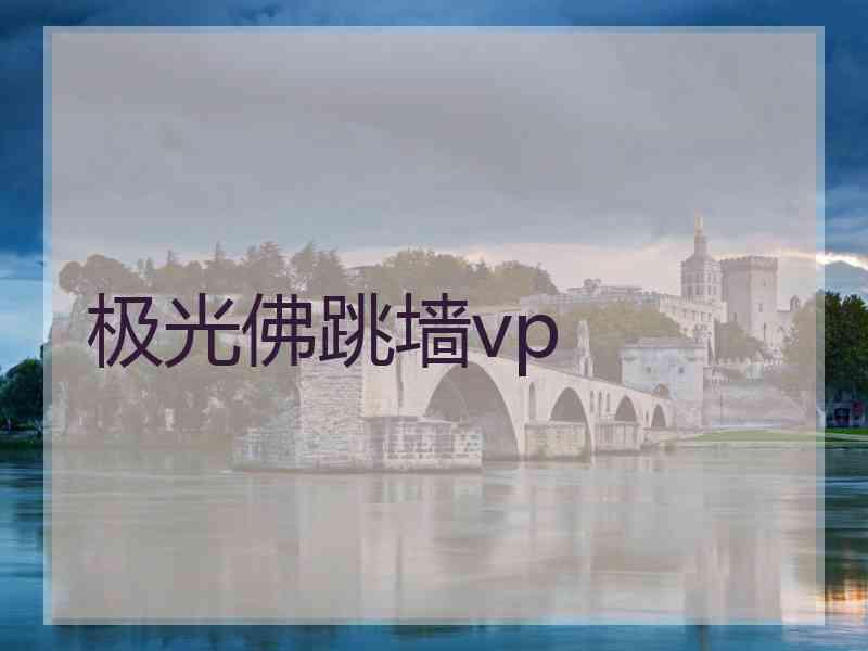 极光佛跳墙vp