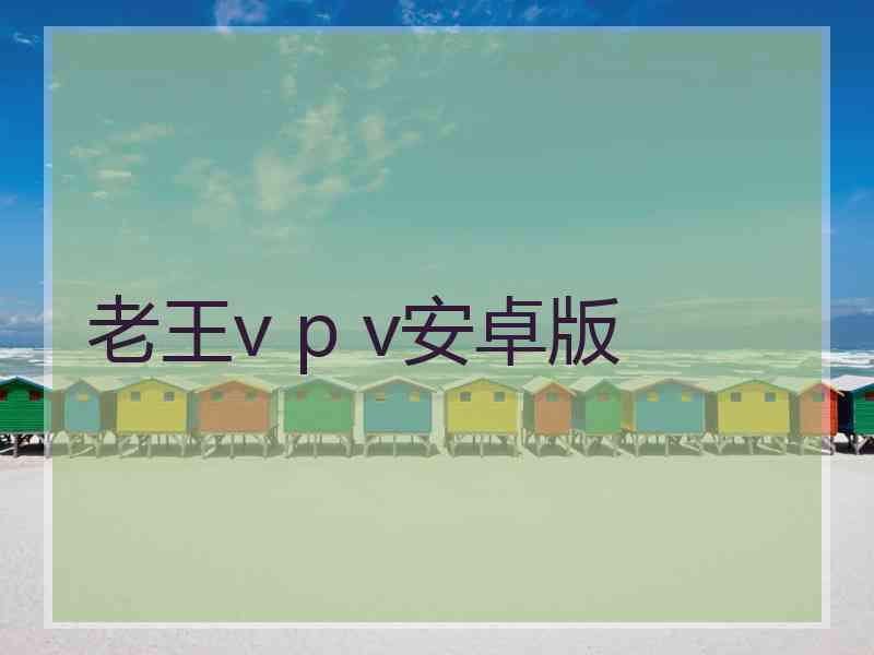 老王v p v安卓版