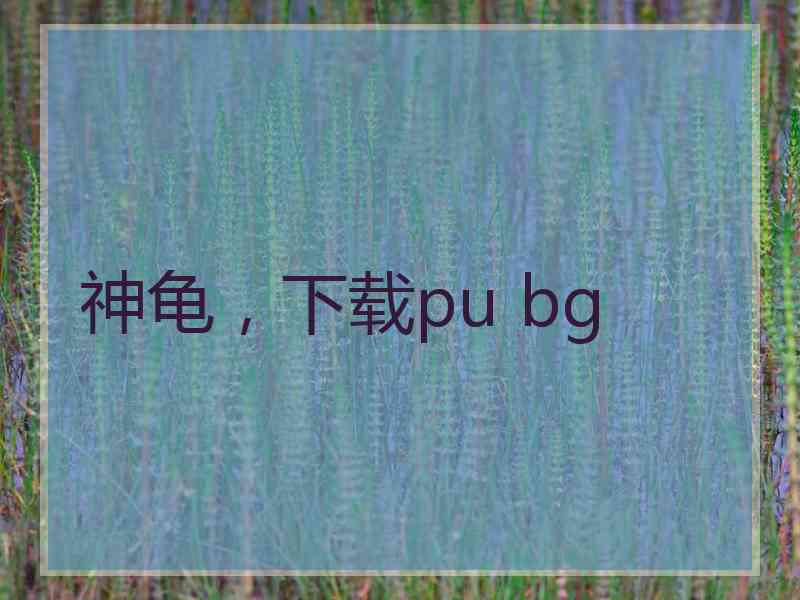 神龟，下载pu bg