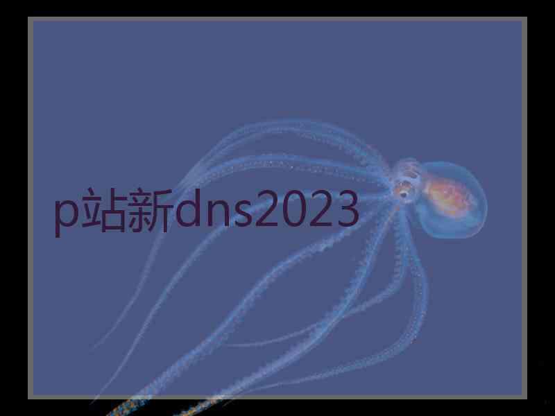 p站新dns2023