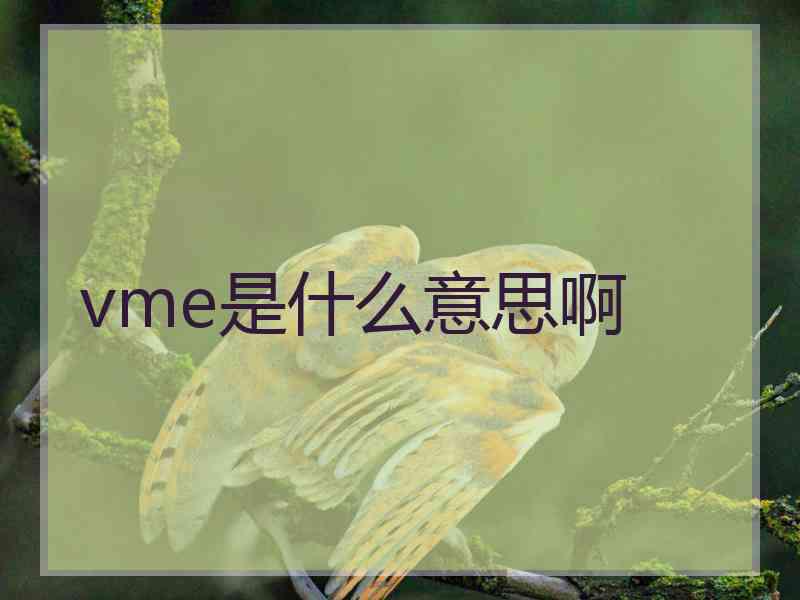 vme是什么意思啊