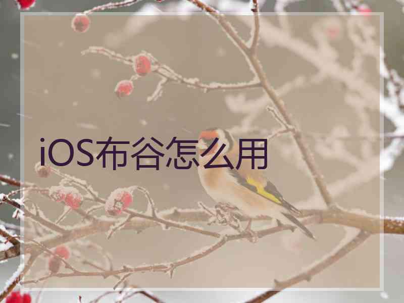 iOS布谷怎么用